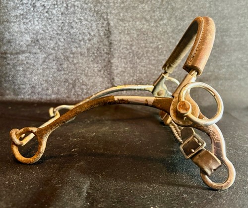 1950s 80s kelly - kelly,, hackamore